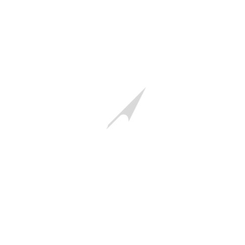 Auto Lead